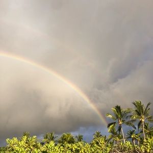 Meet your Posher, Lucy